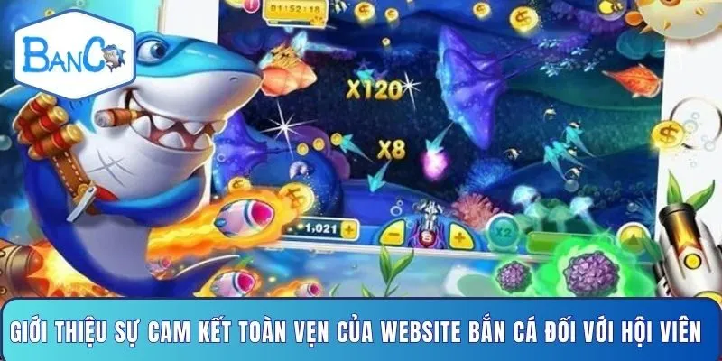 gioi-thieu-su-cam-ket-toan-ven-cua-website-ban-ca-doi-voi-hoi-vien