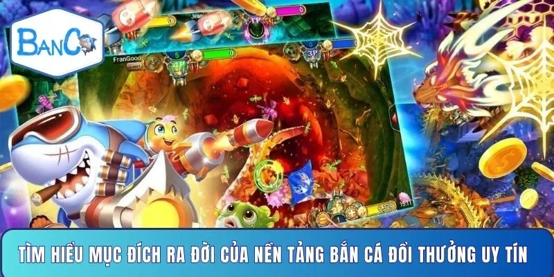 tim-hieu-muc-dich-ra-doi-cua-nen-tang-ban-ca-doi-thuong-uy-tin